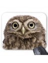 Tapis de souris hibou