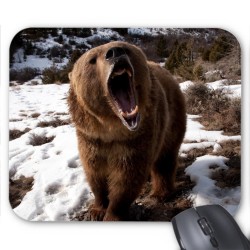 Tapis de souris ours ref  3364