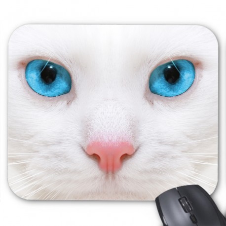 Tapis de souris chat blanc
