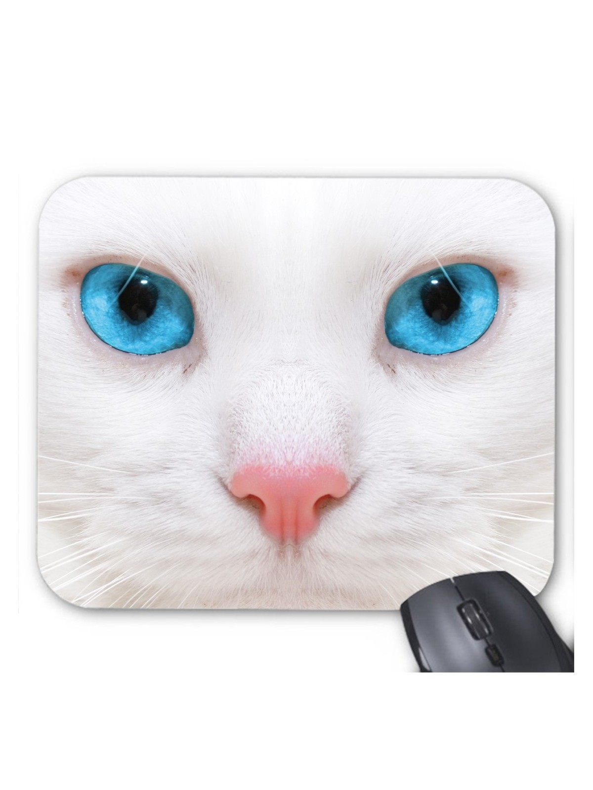 Tapis de souris chat blanc