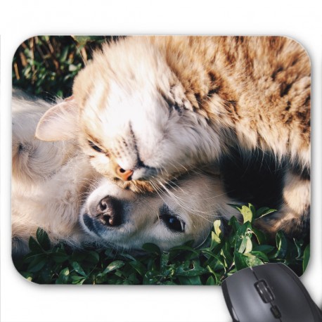 Tapis de souris chat et chien