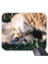 Tapis de souris chat et chien