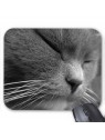 Tapis de souris chat