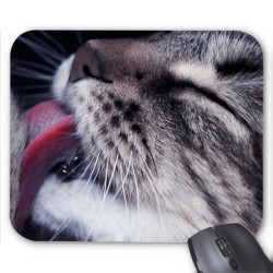 Tapis de souris chat ref  3373