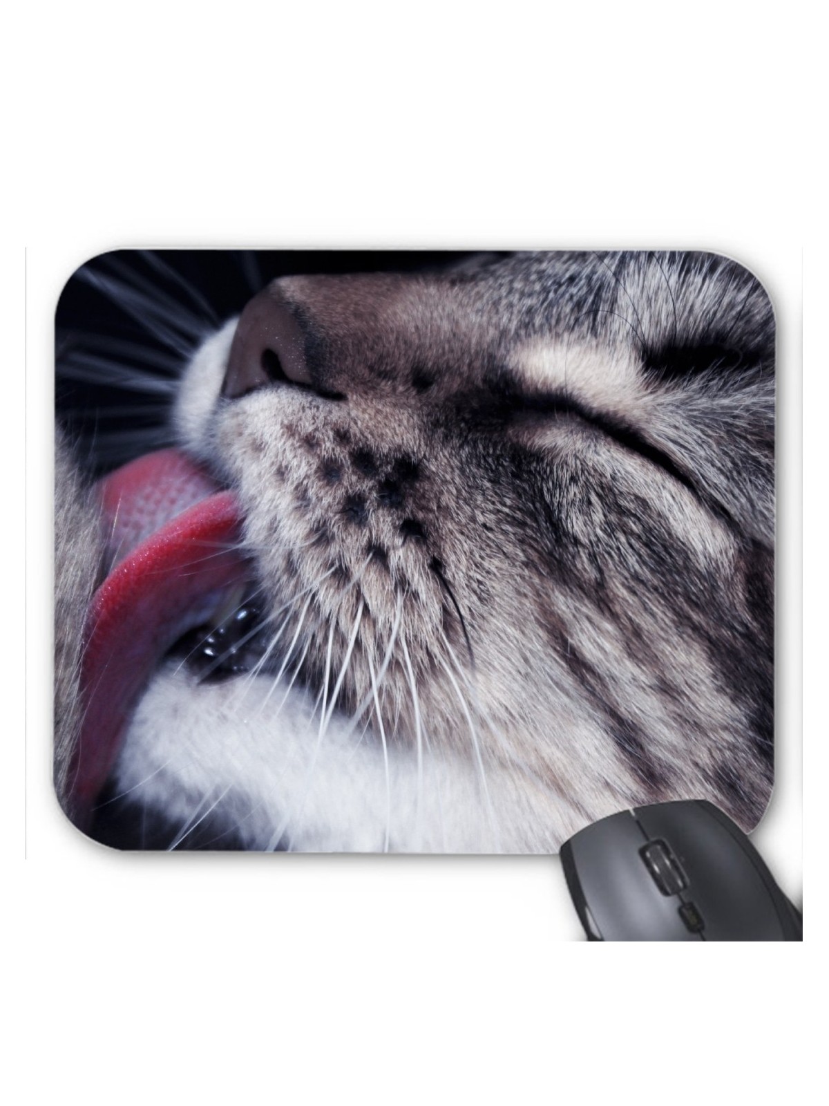 Tapis de souris chat ref  3373