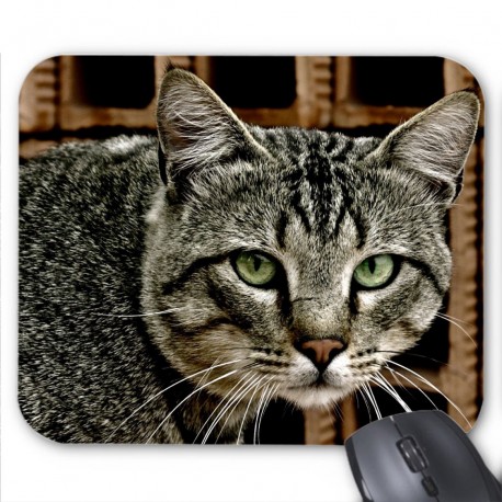 Tapis de souris chat ref  3374