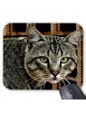 Tapis de souris chat ref  3374