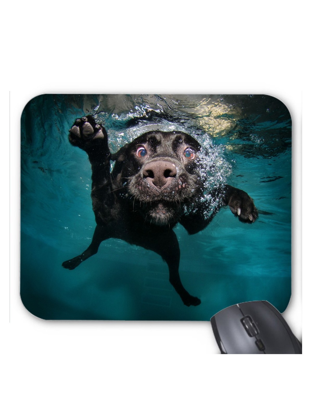 Tapis de souris chien