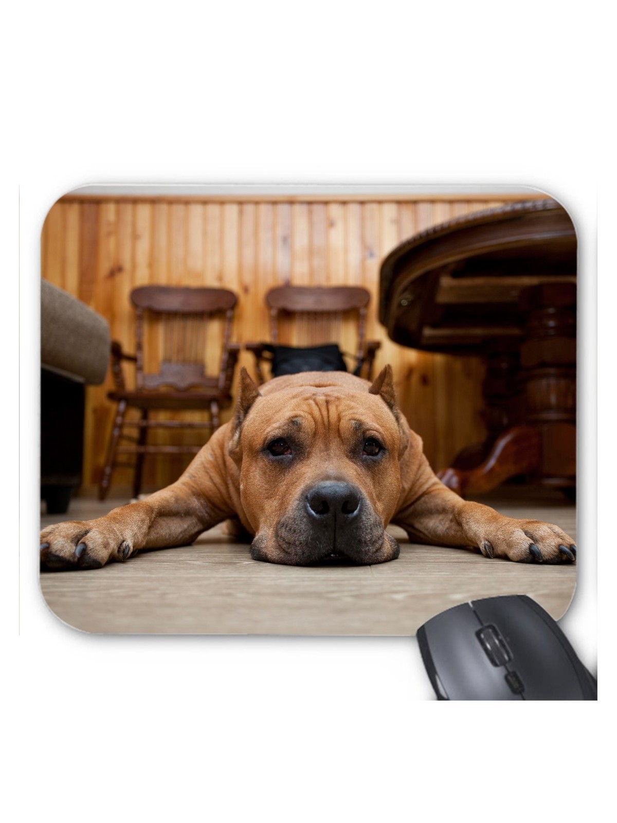 Tapis de souris chien ref  3379