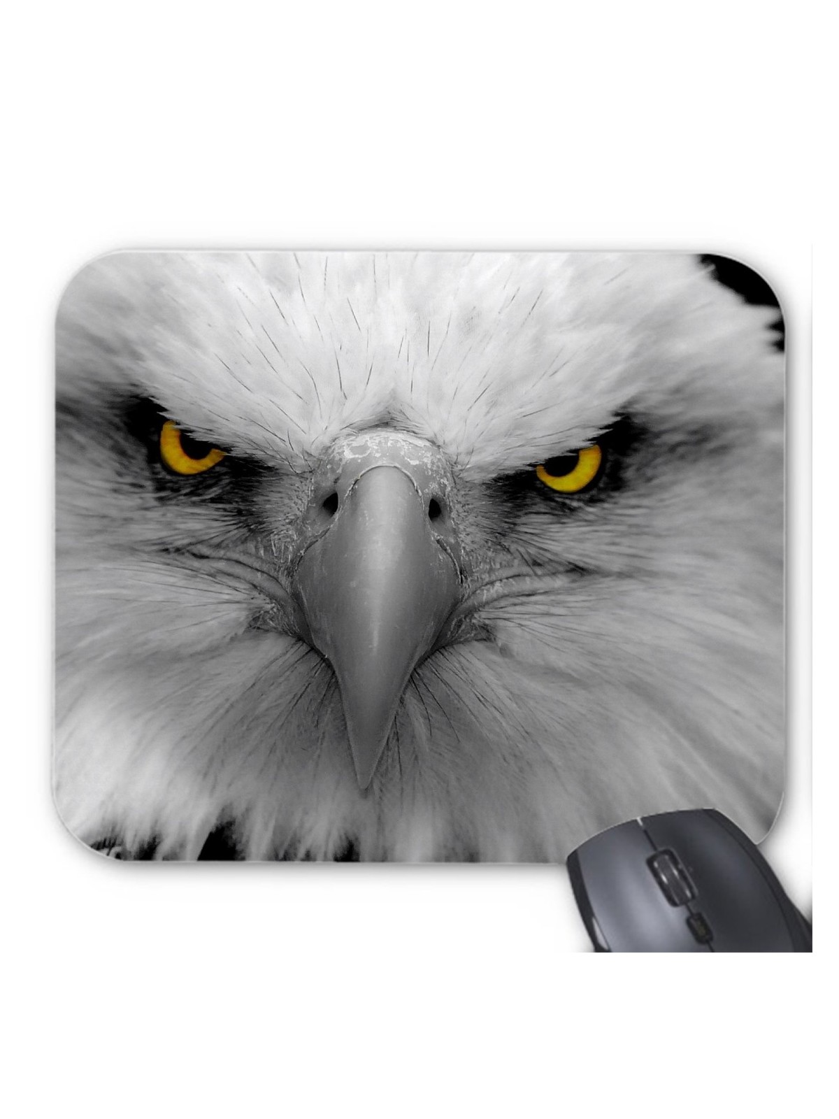 Tapis de souris aigle