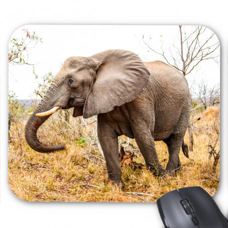 Tapis de souris Ã©lÃ©phant 