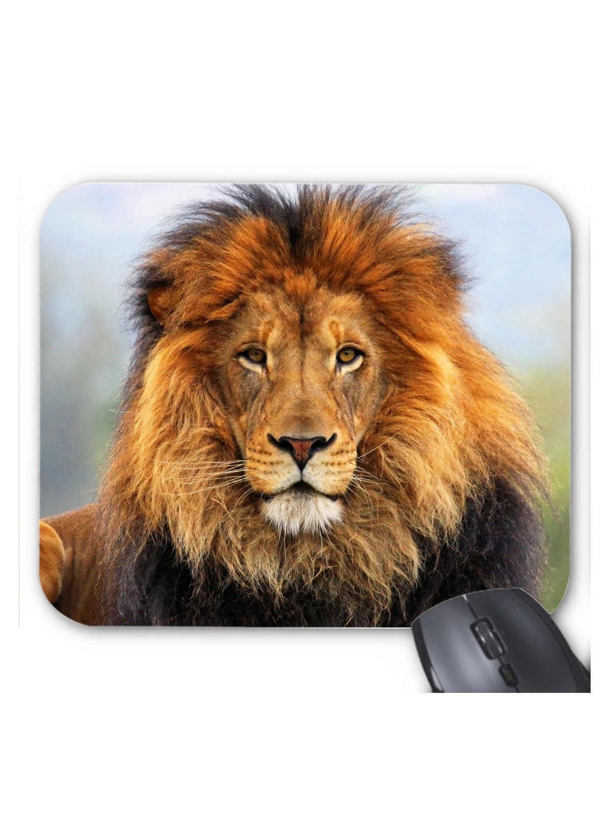 Tapis de souris lion