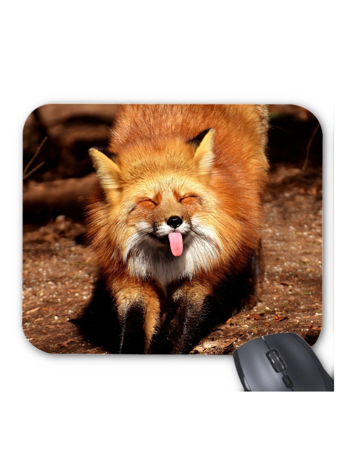 Tapis de souris renard