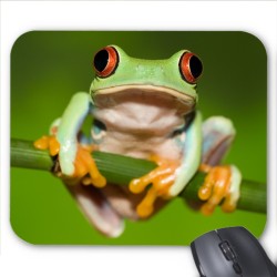Tapis de souris grenouille