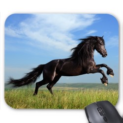 Tapis de souris cheval 