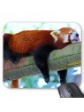 Tapis de souris panda roux 