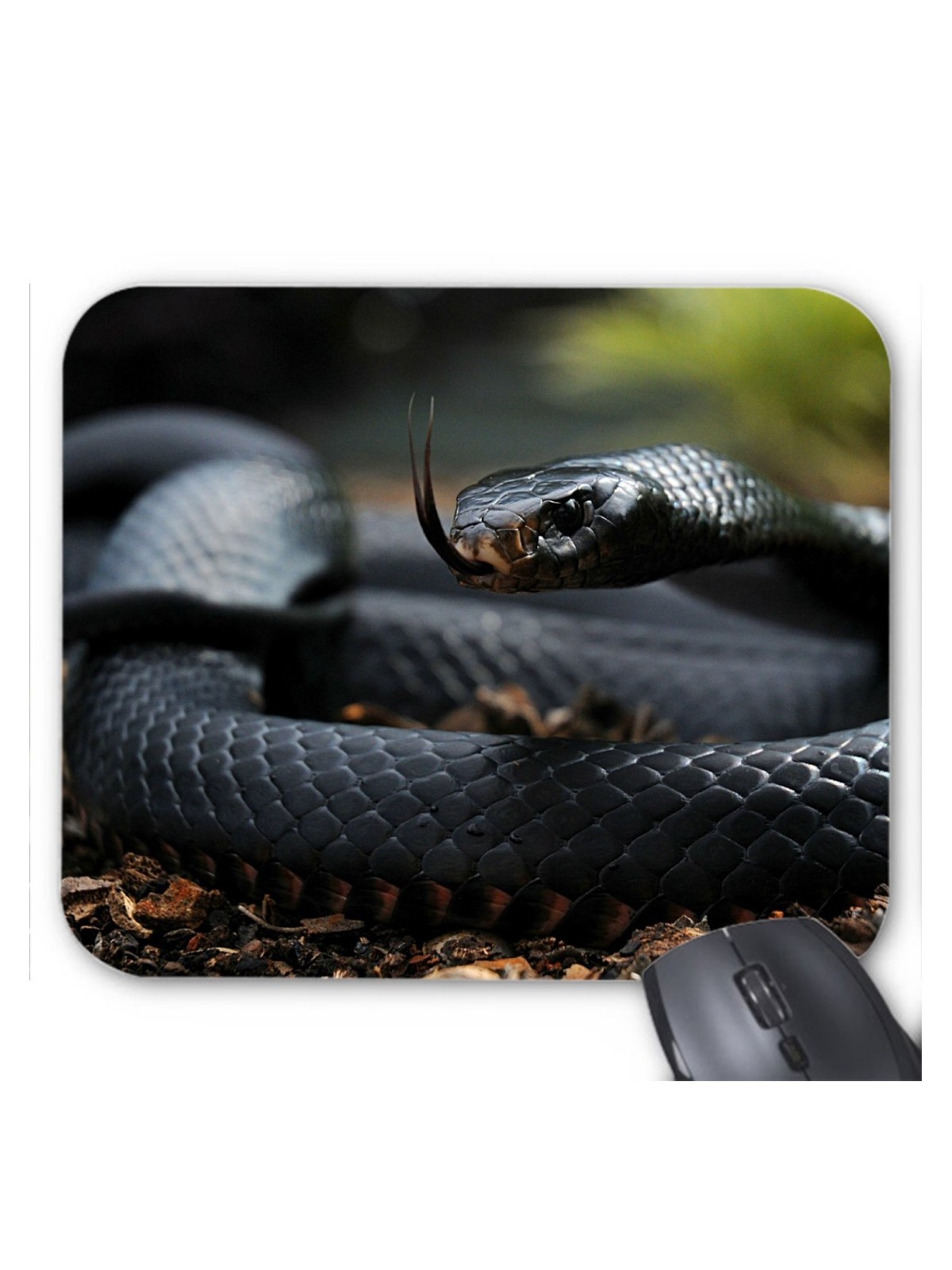 Tapis de souris serpent  ref  3398