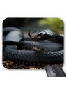 Tapis de souris serpent  ref  3398
