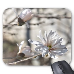 Tapis de souris Fleurs blanches rÃ©f 3568