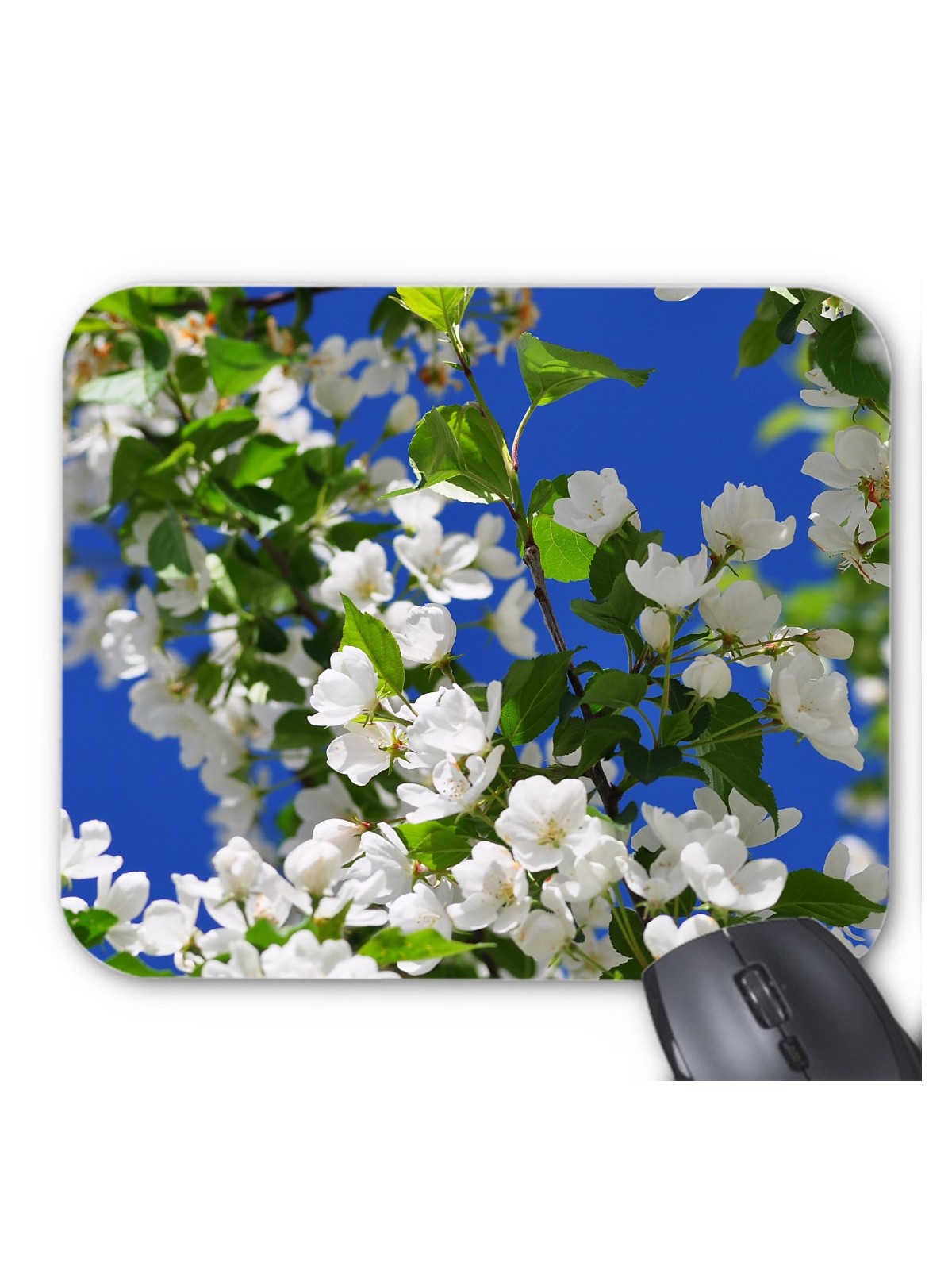 Tapis de souris Fleurs blanches rÃ©f 3575