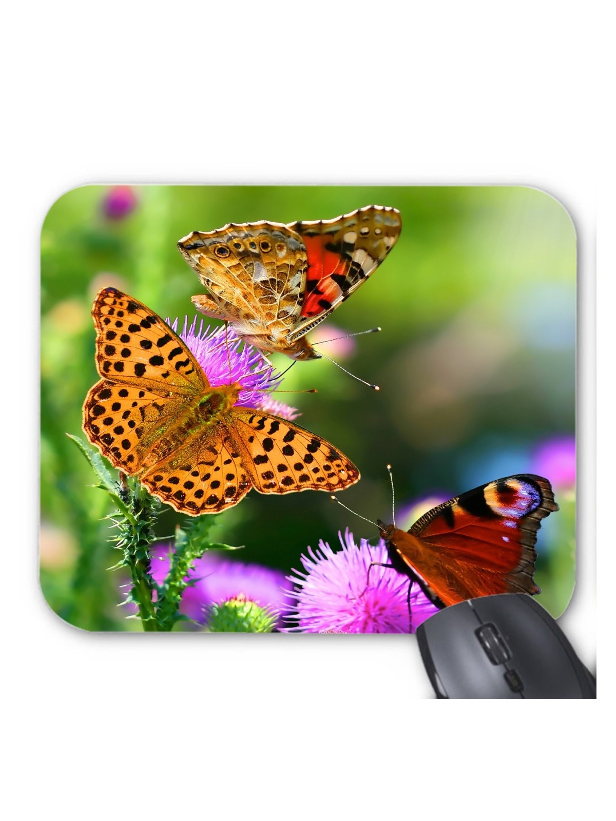 Tapis de souris Papillons Fleurs rÃ©f 3603