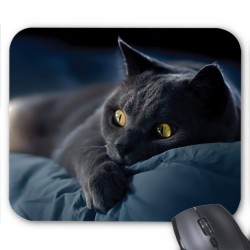 Tapis de souris Chat noir réf 3653
