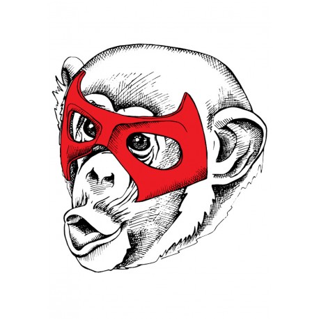 Stickers Autocollants enfant dÃ©co singe masquÃ© rÃ©f 293