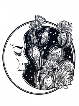 Stickers Autocollants déco Lune nuit réf 216