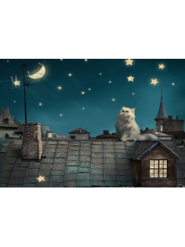 Stickers Autocollants ordinateur portable PC Déco Chat de nuit réf 083