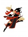 Stickers Autocollants enfant dÃ©co Shaolin ninja ref 445
