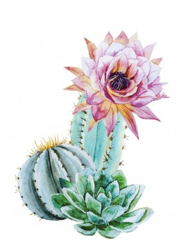 Stickers Autocollants enfant déco CACTUS