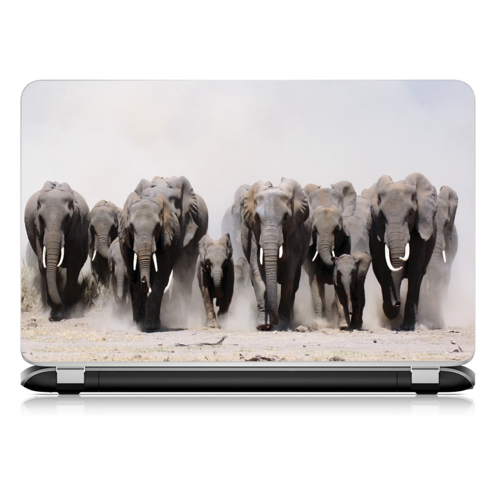 Stickers Autocollants ordinateur portable PC elephant