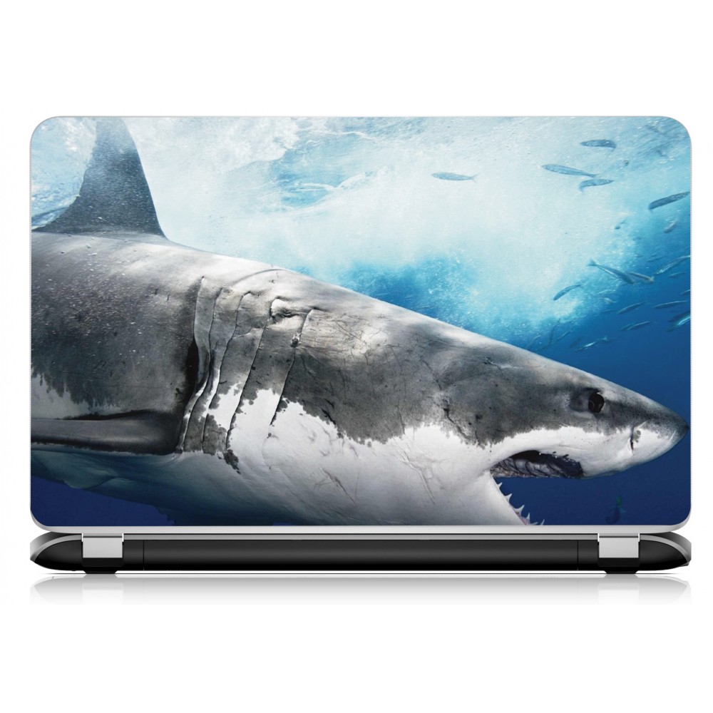 Stickers Autocollants ordinateur portable PC requin