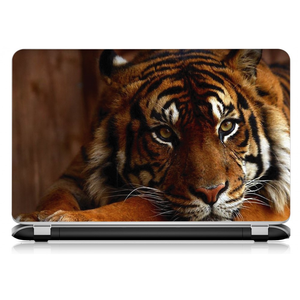 Stickers Autocollants ordinateur portable PC tigre