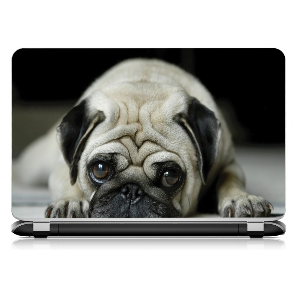 Stickers Autocollants ordinateur portable PC Chien