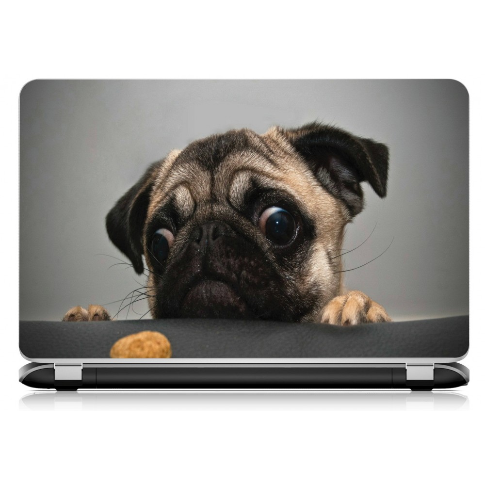 Stickers Autocollants ordinateur portable PC chien