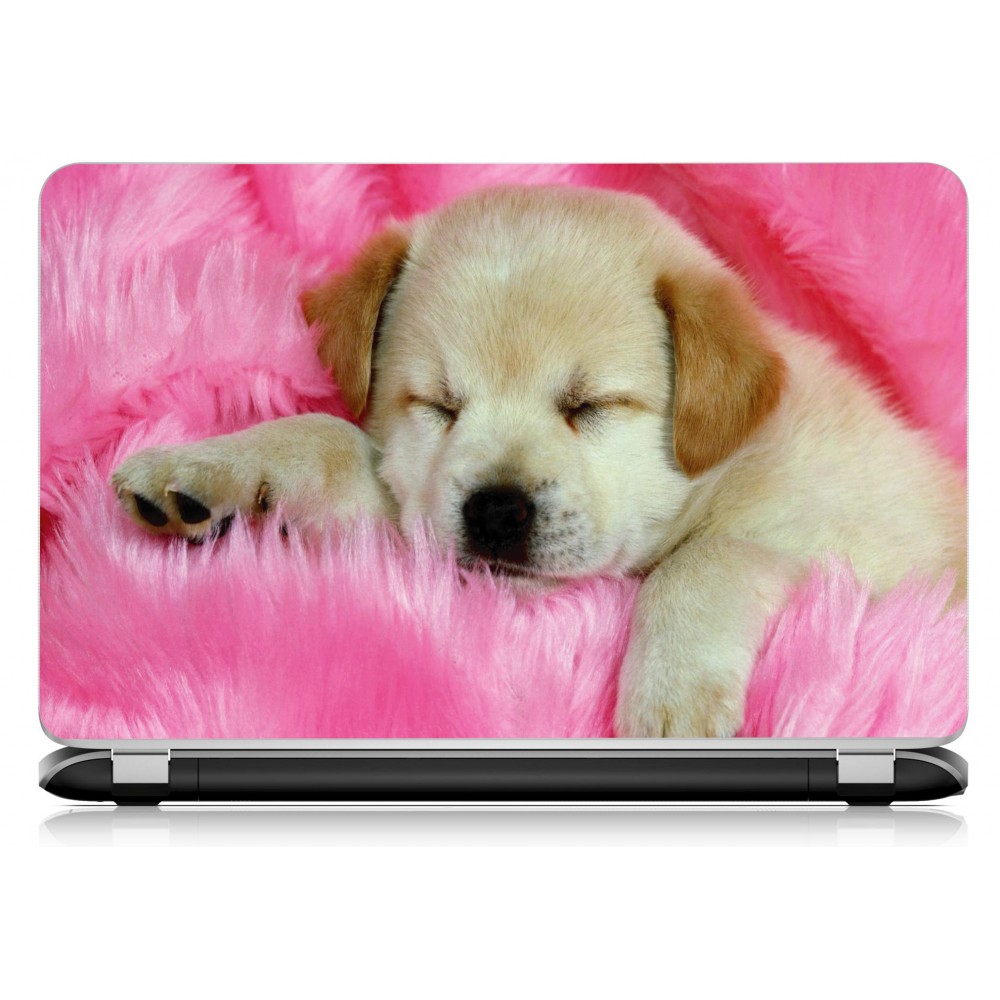 Stickers Autocollants ordinateur portable PC chiot labrador