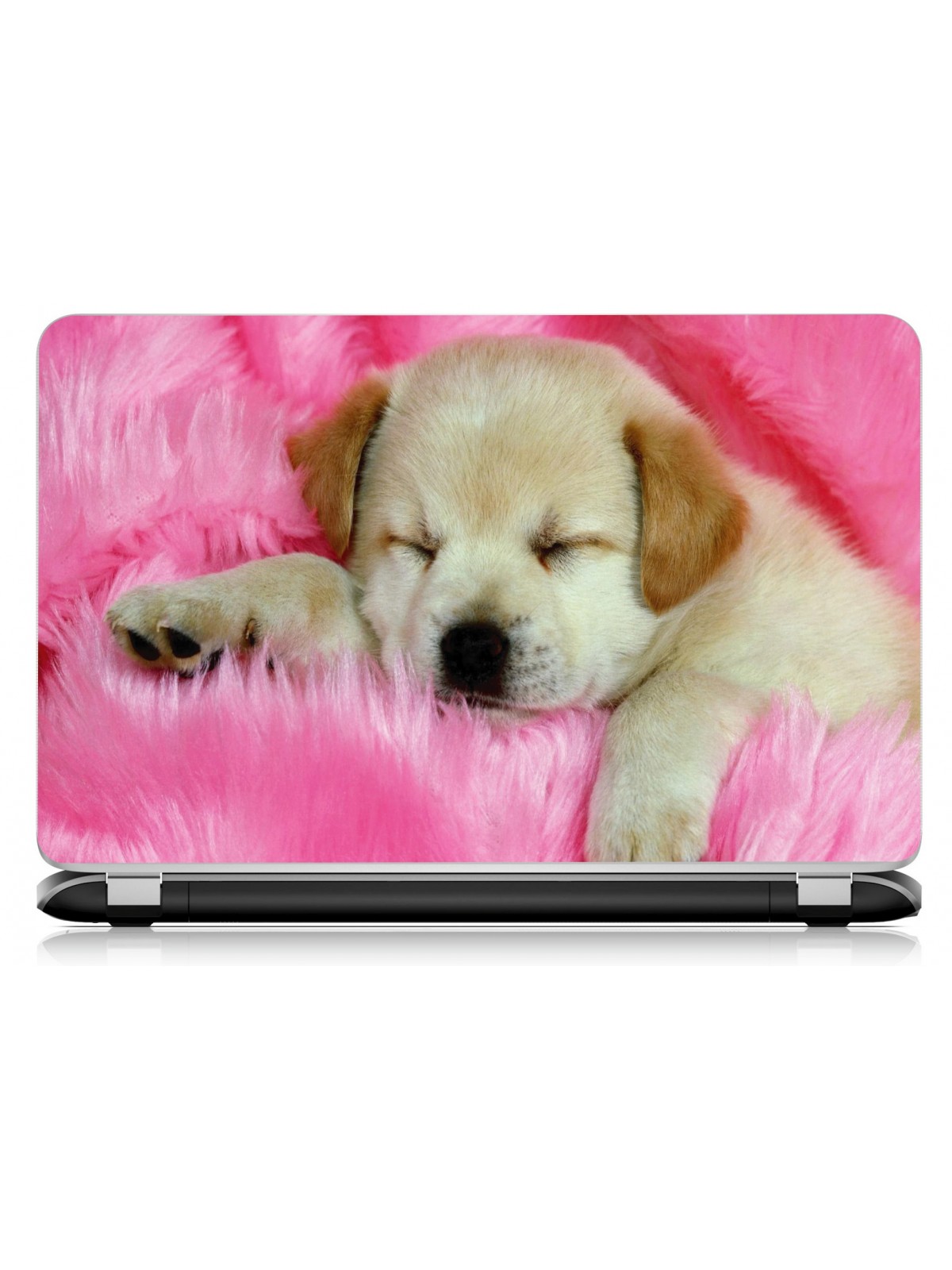 Stickers Autocollants ordinateur portable PC chiot labrador