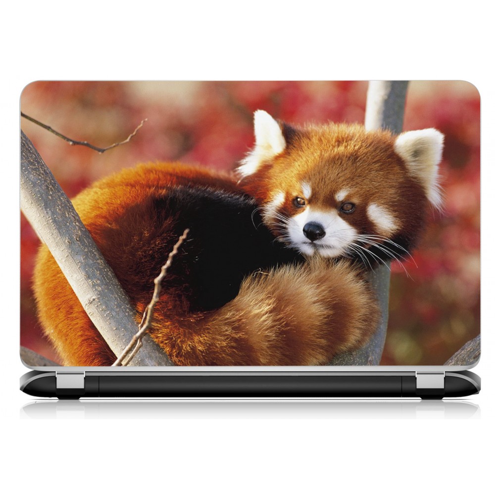 Stickers Autocollants ordinateur portable PC Panda roux
