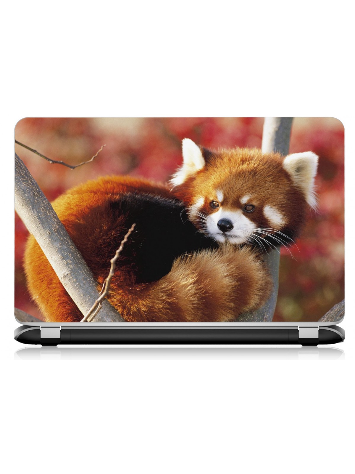 Stickers Autocollants ordinateur portable PC Panda roux