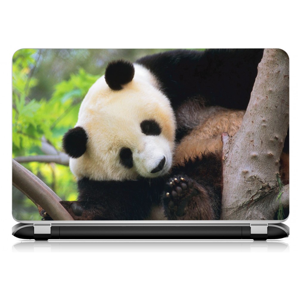 Stickers Autocollants ordinateur portable PC panda