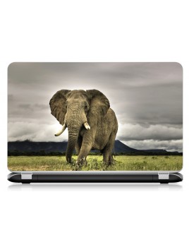 Stickers Autocollants ordinateur portable PC elephant 