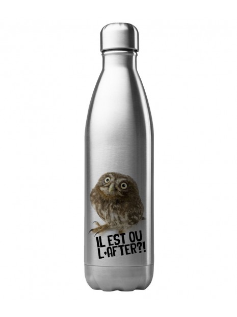 Bouteille Gourde Isotherme Acier Inox 500 Ml Imprimé Citation Humour Hibou Il Est Ou L After G1258 3663861144800
